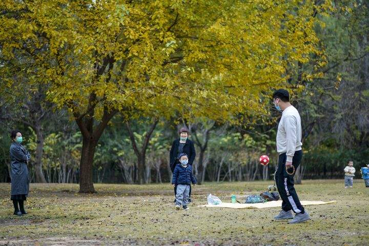 深秋黄叶林中露营野餐 体验“沉浸式”赏秋