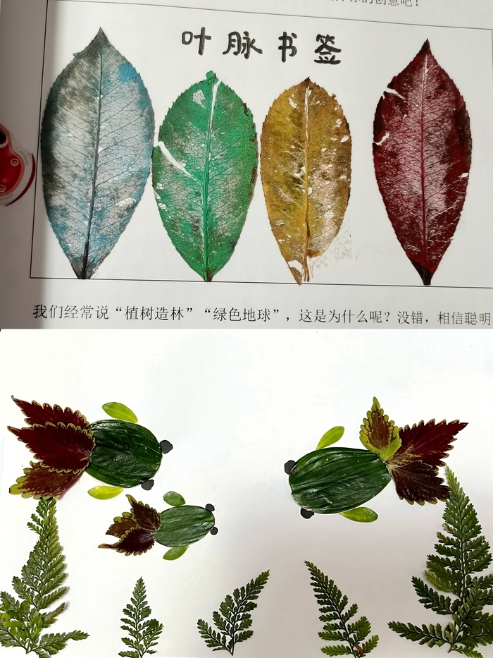 齐鲁学校小学部开展寒假学科特色作业展