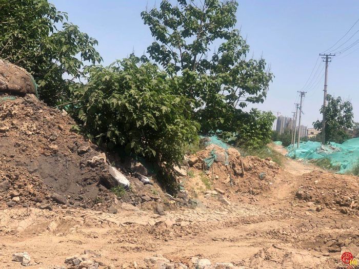 【啄木鸟行动】历城区飞跃大道附近大片渣土成堆未遮盖