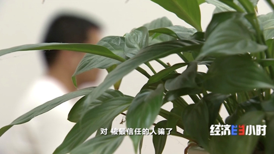 又骗感情又骗钱!专盯这几类人 有人被坑几十万元