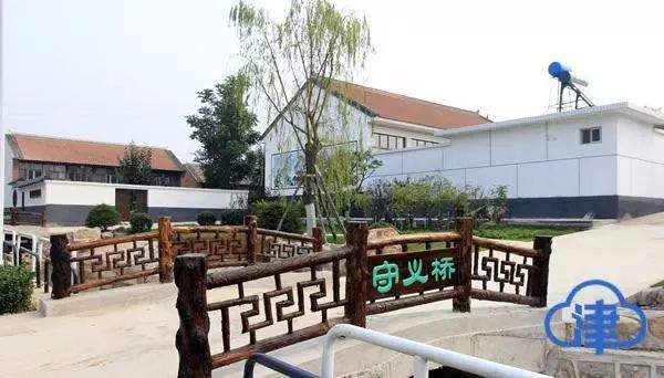 【观察】一道沟,一副担;一畦稻,一幅画