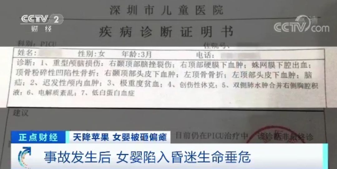 11岁女童24楼扔下苹果，砸中女婴致十级伤残！谁来赔？