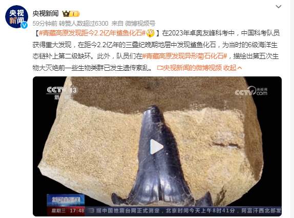 青藏高原发现距今2.2亿年鲨鱼化石