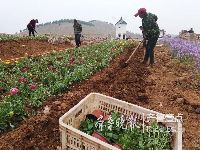 临沂这个昔日吃不上水的山村，如今美翻了！