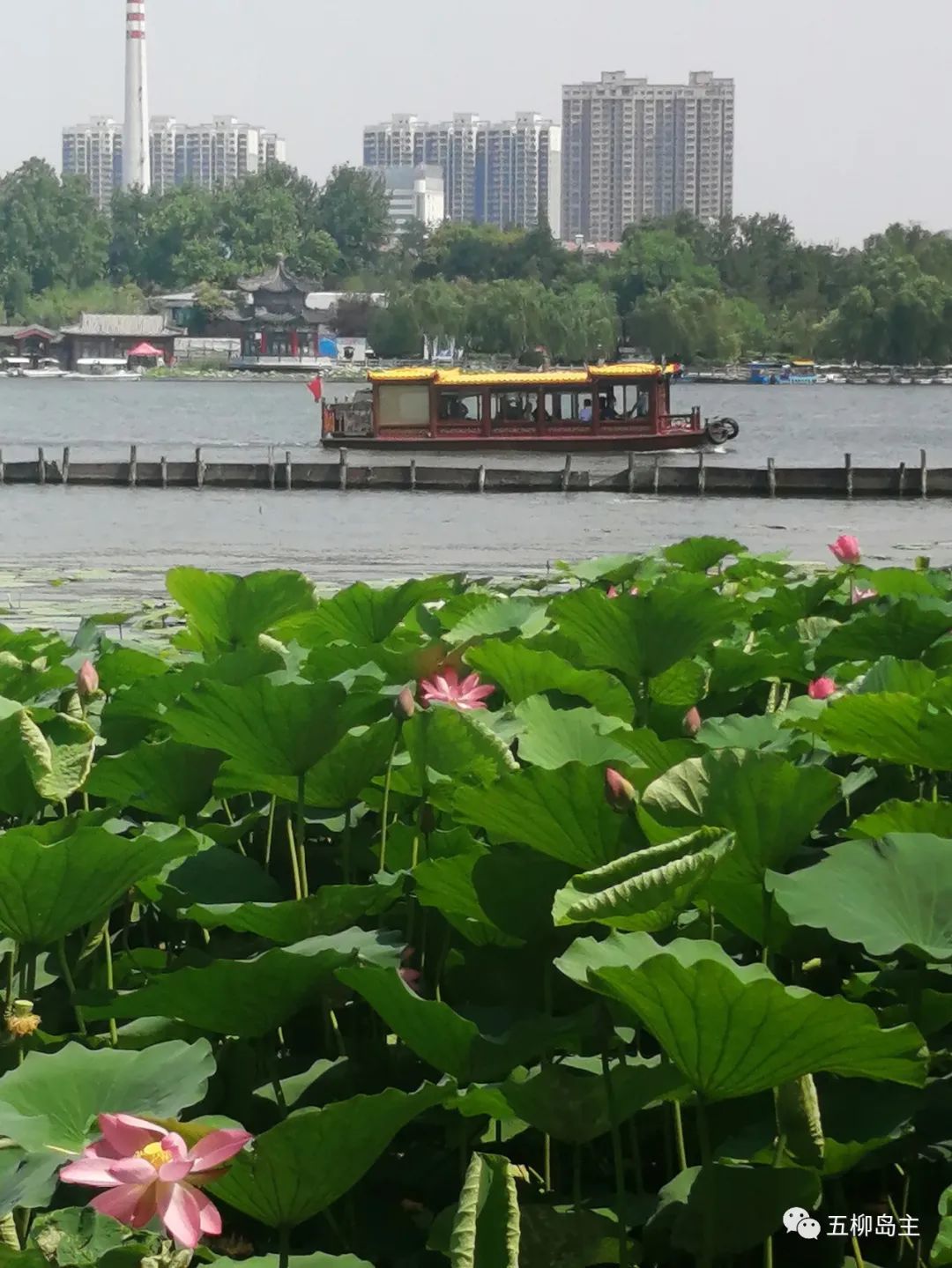 山东首个国际传播中心！在济南上演现代版“马可波罗游记”