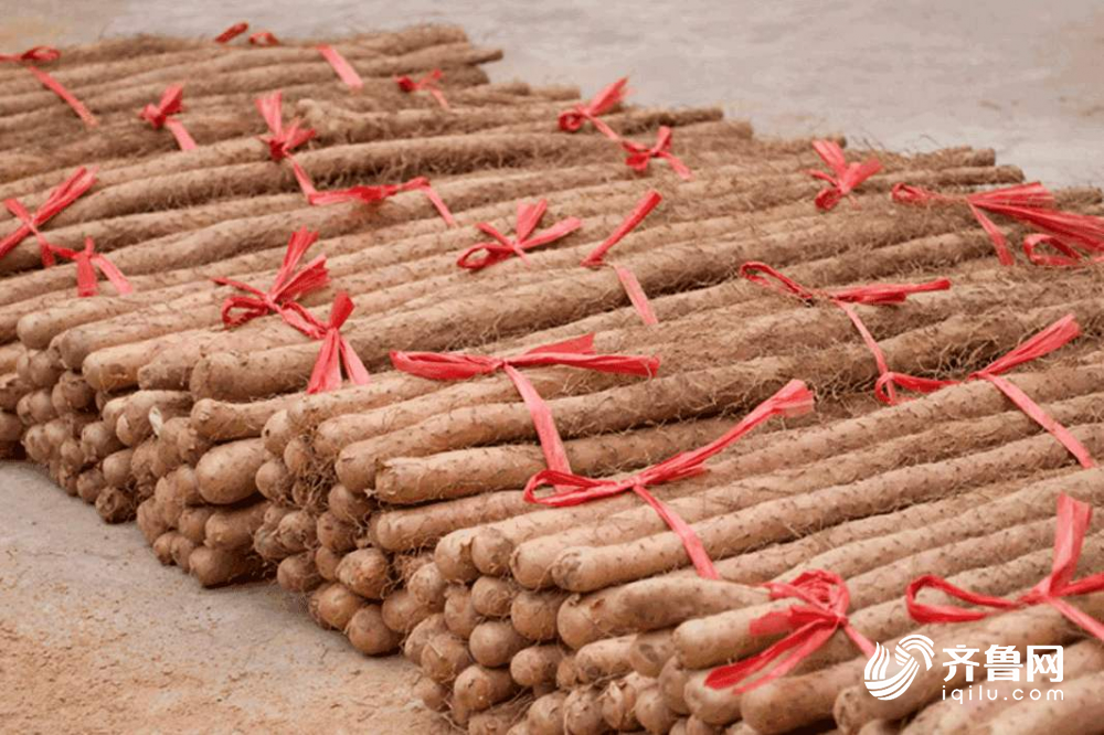 龙山小米、莱芜鸡腿葱……山东援鄂，捐赠了哪些特色农产？