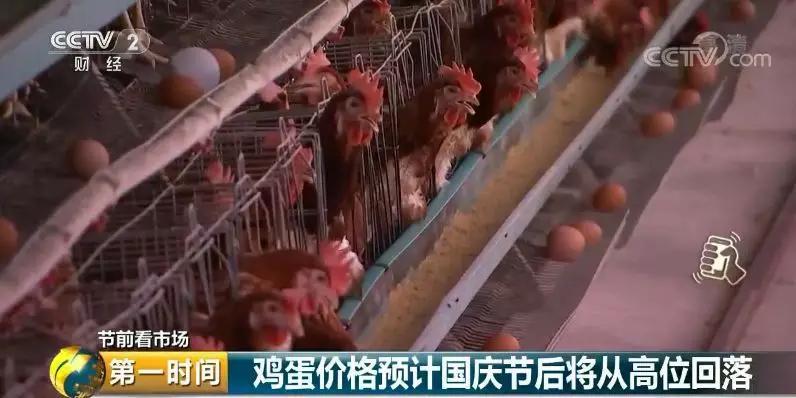 马上，“双节”要来了！你常买的蛋、菜、肉，价格有啥变化？赶紧看看