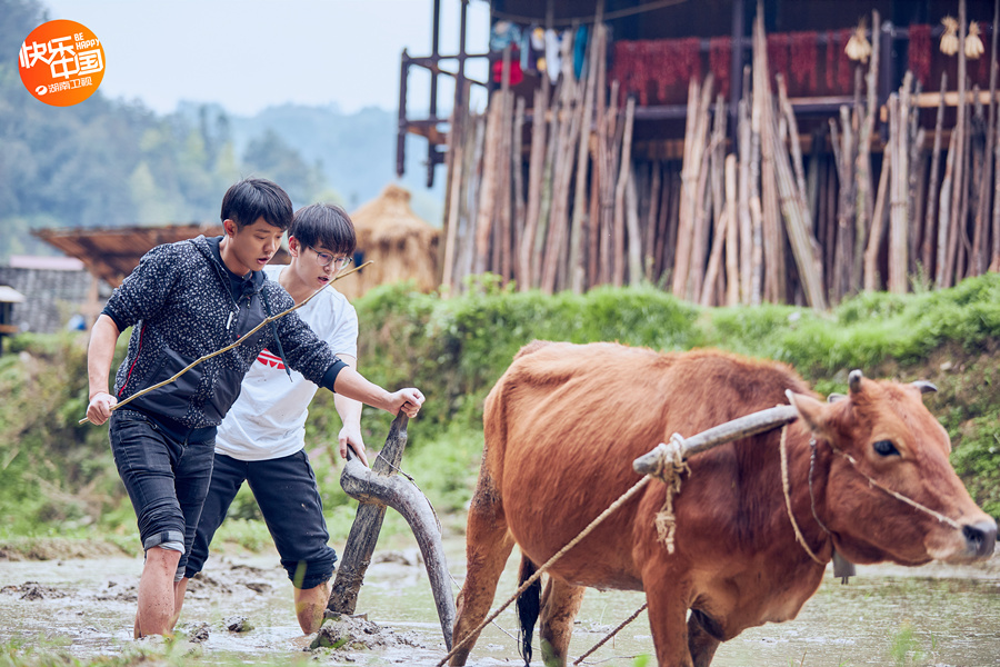 《向往的生活》何炅为肖央庆生 彭昱畅被自己生图吓到