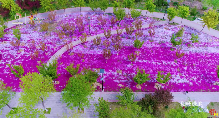 【小康路上 奋斗有我】公园里瞰小康⑤花漾街区