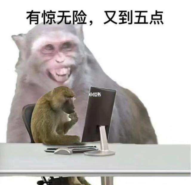 一夜之间“吗喽”占领了年轻人的生活圈 来自何方？