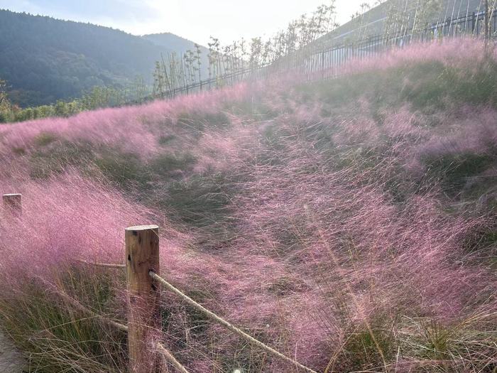 地铁沿线好风光，周末解锁打卡新坐标