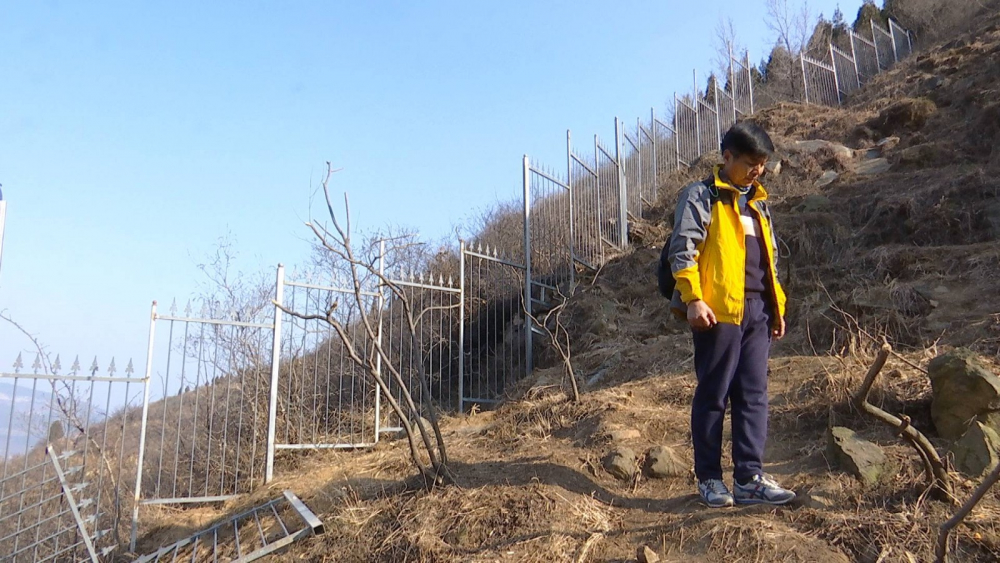 济南网红“狮身人面像”每天引千名游客打卡  系统化管理有待探讨