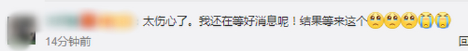 马主人回应下海救人两匹马去世|心疼哭了!马主人回应下海救人两匹马去世 网友:还以为能救好