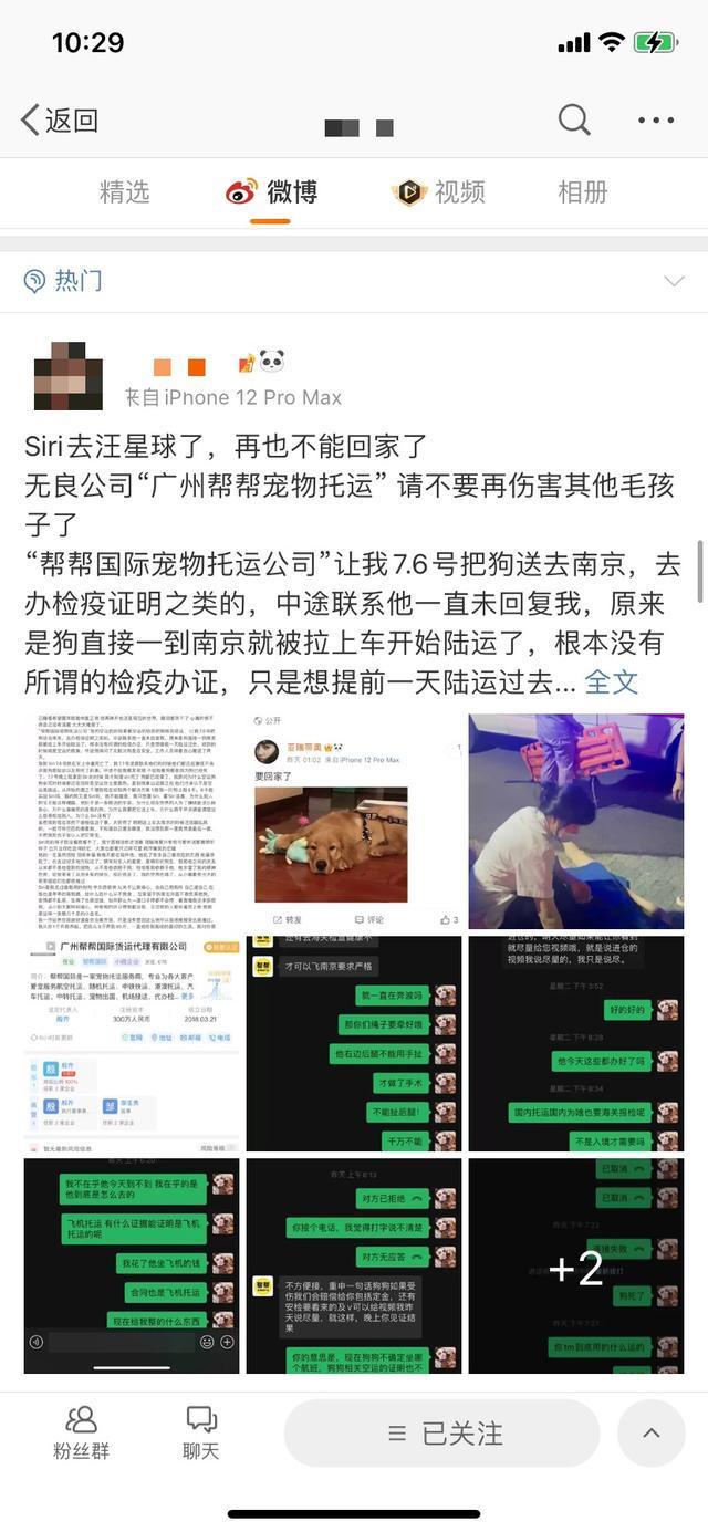 空运变陆运？金毛托运途中死亡，广州市监部门介入