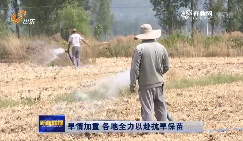 山东降水较常年偏少37% 全省投入9.7亿元抗旱保苗