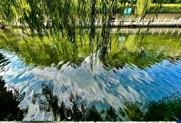 谁打翻了调色盘 一半落入水面 一半铺满天边