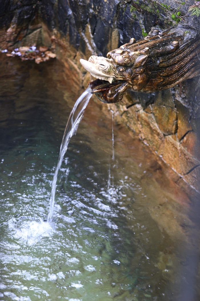 斗母泉，济南新“七十二名泉”中海拔最高的泉！