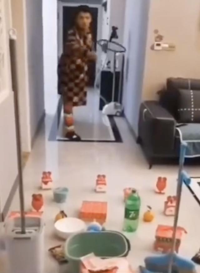 春节不能出门把全国网友憋成啥样？给猫讲函数，为橘子接生