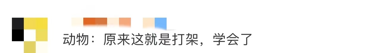 动物专家:动物园不该搞伪科学,北京野生动物园曝光“跨物种”丢人事件