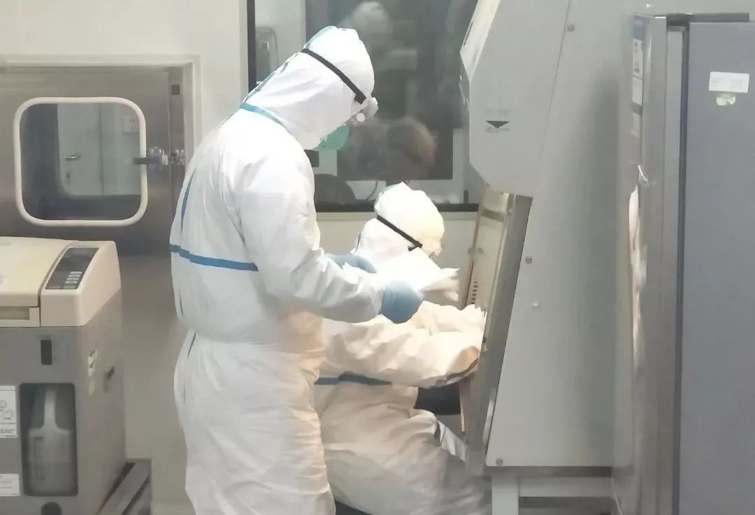 一晚做74份样本检测 他们是病毒检验人员！