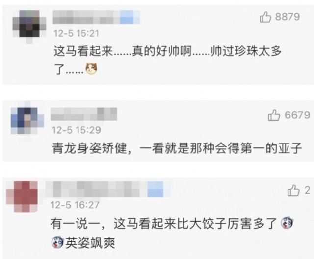 【围观】丁真得到一匹名叫青龙的赛马，网友：珍珠可以吃“干饭”了