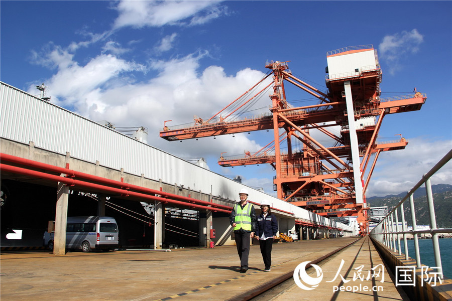 越南永新电厂办开放日 中企抱团“出海”获好评