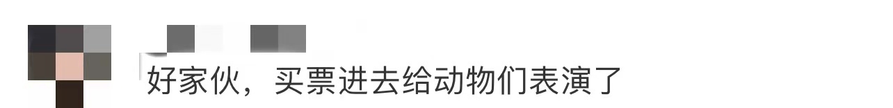 动物专家:动物园不该搞伪科学,北京野生动物园曝光“跨物种”丢人事件