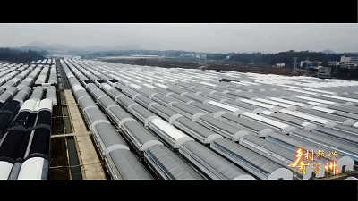 农业现代化 “黔景”无限好——乡村振兴看贵州