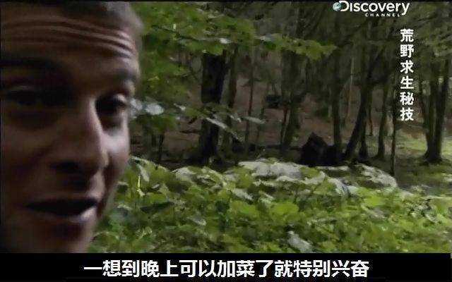 女子路遇野生黑熊被抱住淡定自拍|大大的熊抱！女子路遇野生黑熊被抱住，淡定掏出手机与熊拍合照
