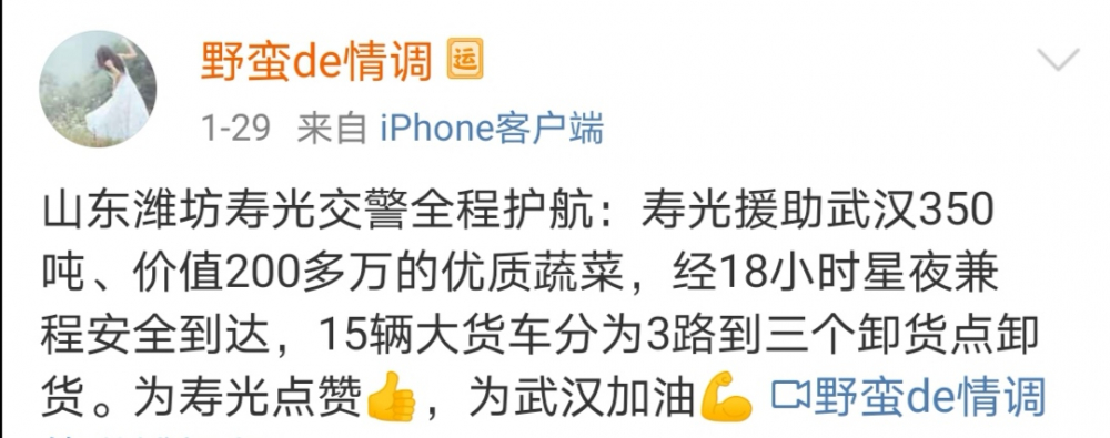 日供武汉2000吨蔬菜，“宇宙寿光”是怎样炼成的？