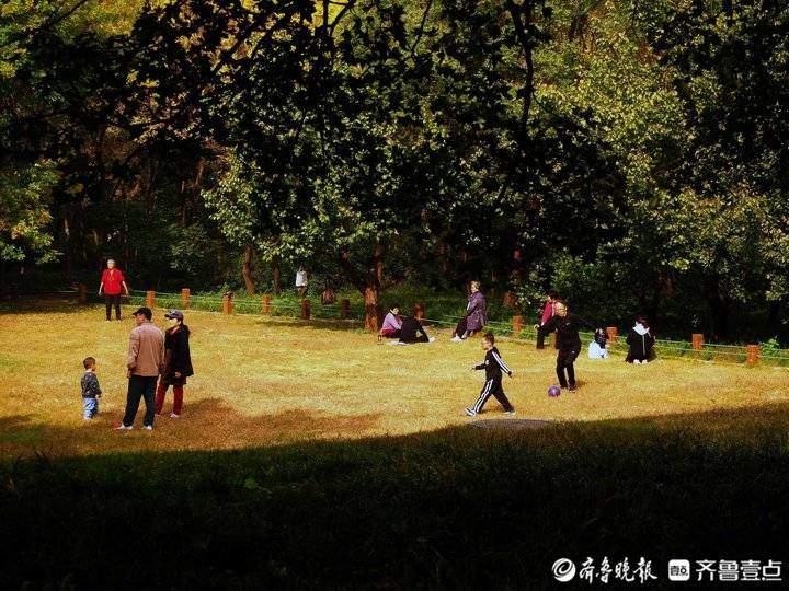 霜降时节济南市民扶老携幼出门休闲，在阳光下尽享晚秋的美丽