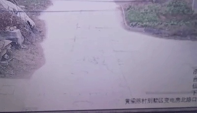 10岁女儿被车拖行数百米！妈妈报警后惊呆：肇事司机竟是……