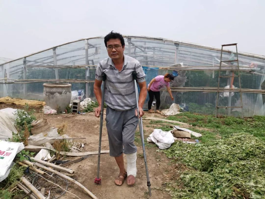 潍坊3万多斤葡萄即将烂在枝头，无人收....求助!!!