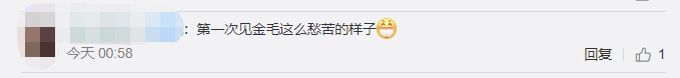 狗狗怕打针双腿灵活走位，还向主人请求支援，网友：像极了怕打针的我