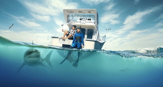 BBC纪录片《不可思议的动物》首播 配音超强阵容