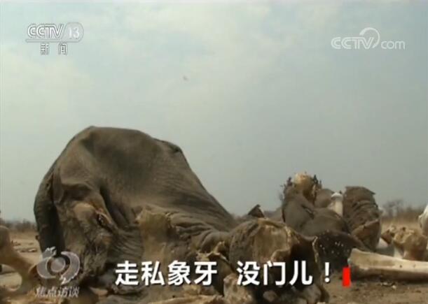 个人电话被恶意标注为“诈骗电话” 花钱取消难了事