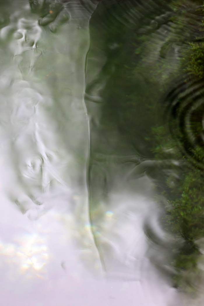 泉水奇观，难得一见！济南金线泉“金线奇观”再现