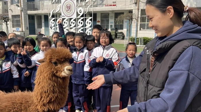 “新朋友”驾到！锦苑学校小学部的孩子开心坏了