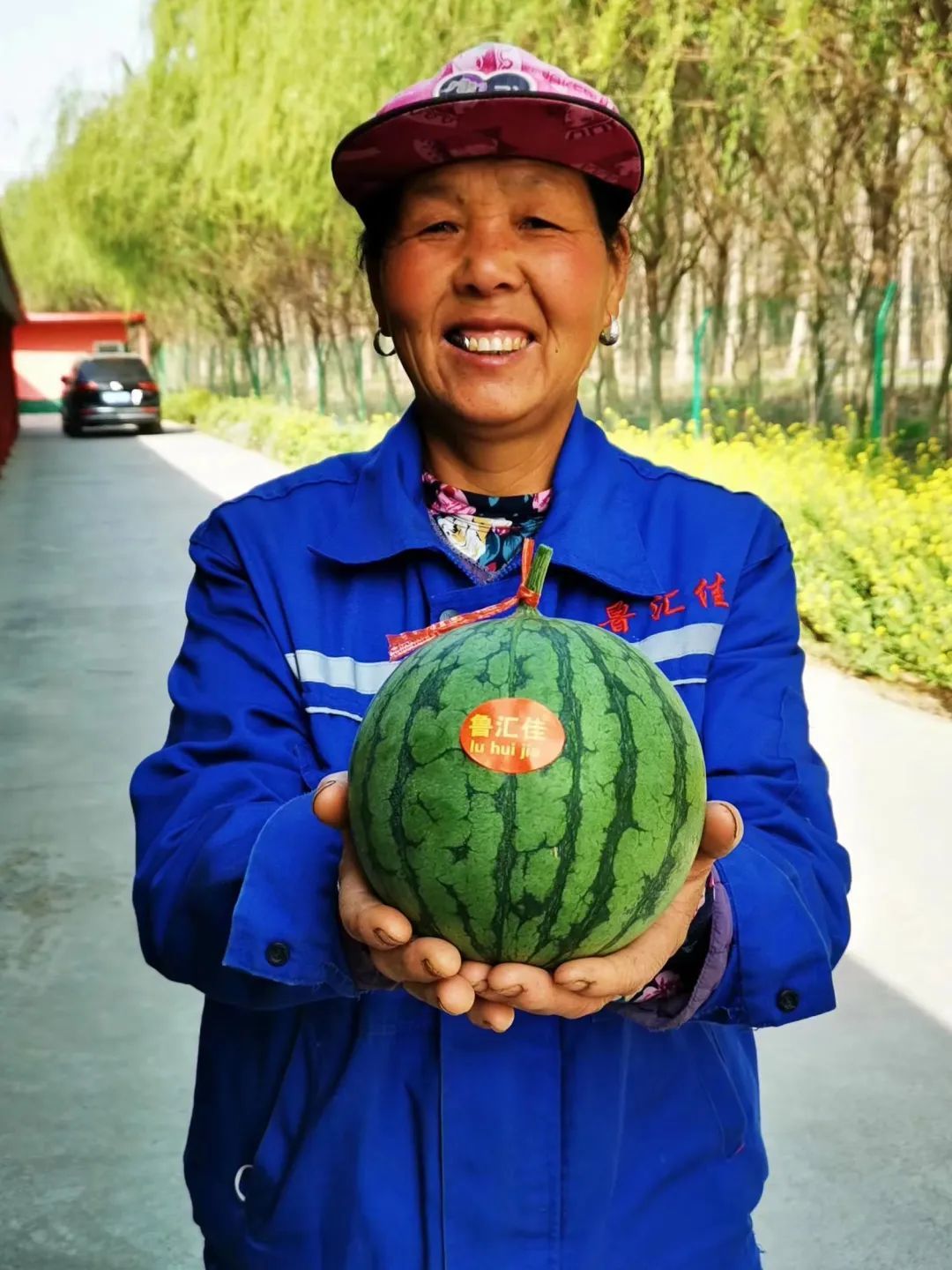 西瓜穿网兜、住空中～济南大姐黄河边建500亩“吃瓜”小镇