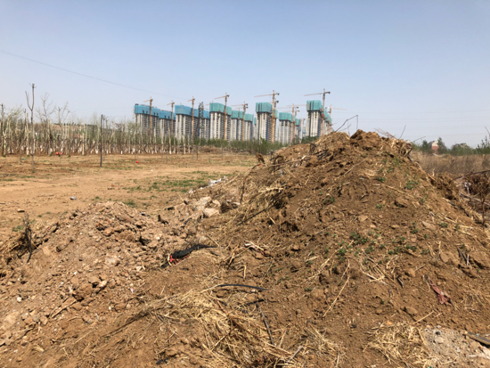 【啄木鸟在行动】历城区郭董路东侧大面积渣土及生活垃圾露天堆放