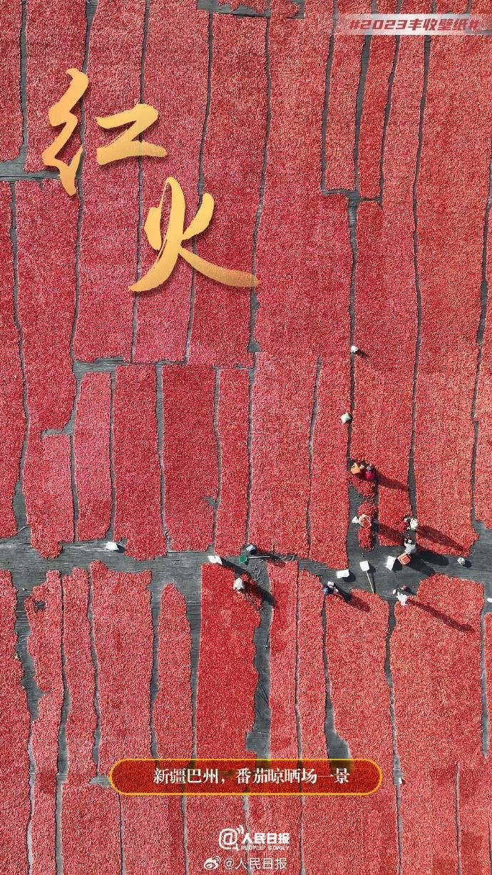 俯瞰丰收大地，美成了壁纸