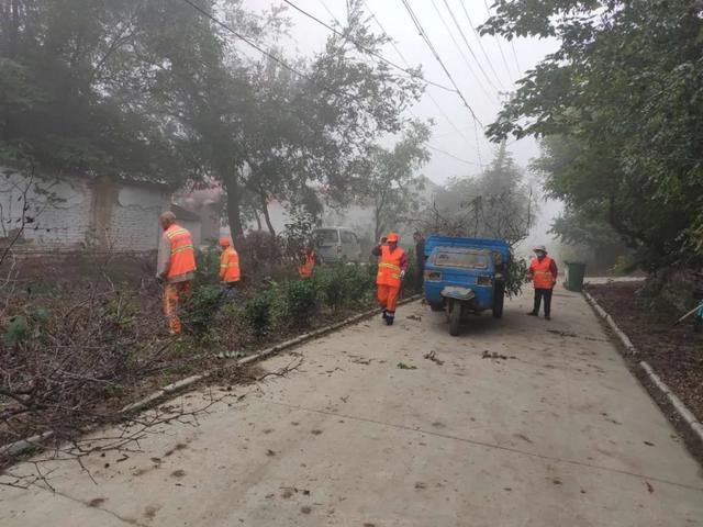 大桥街道深入开展爱国卫生运动，喜迎中秋国庆佳节来临