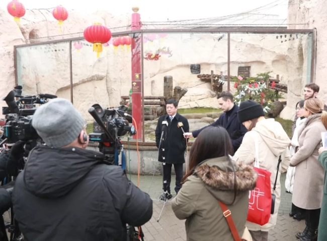 中国驻俄大使张汉晖到莫斯科动物园看望中俄友谊“使者”大熊猫“丁丁”和“如意”