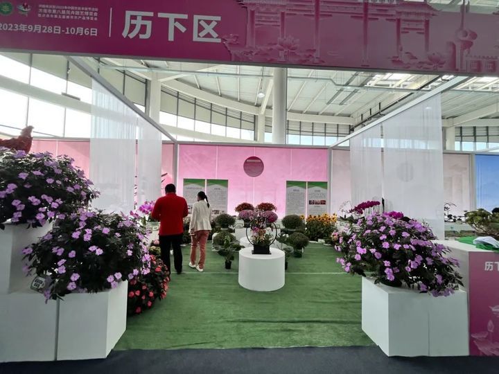 游花博，泡温泉，打卡“新商河”之“游在商河”