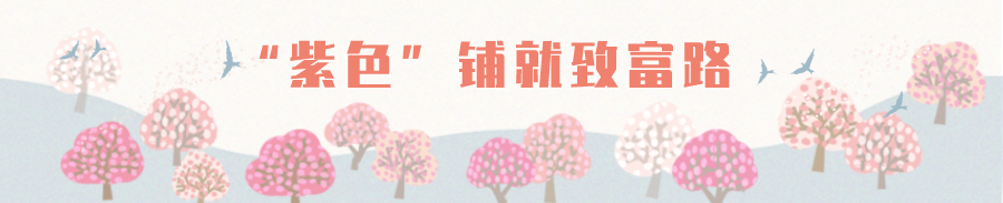 这条脱贫致富路，多姿又多彩！