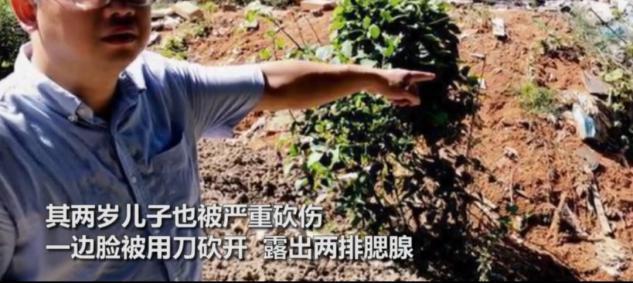 邵阳回应举报倒渣土全家四人被砍|【最新进展】邵阳回应举报倒渣土全家四人被砍，具体什么情况？回应说了什么？