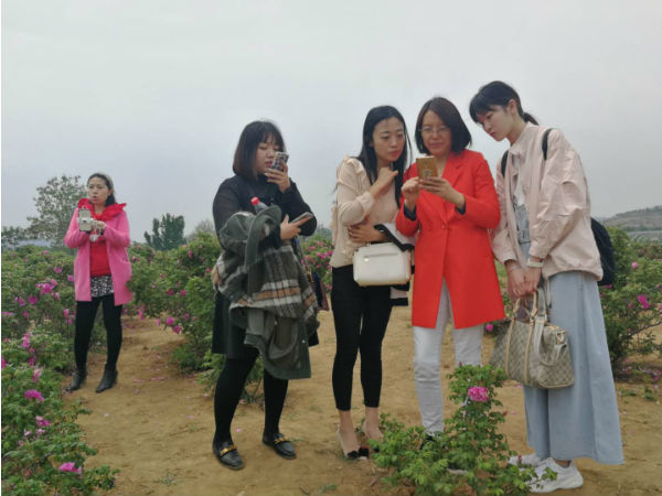 2019õ弯ƷսԷչõֱҵչ̳ɹٰ