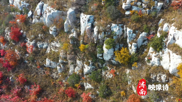 济南映像诗丨蚰蜒山：梯田层叠 五彩斑斓