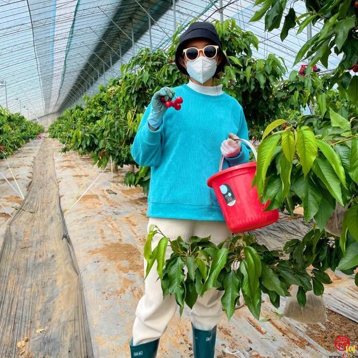 露营＋烧烤＋采摘随意搭配，“玩荒”被泉水人家治好了