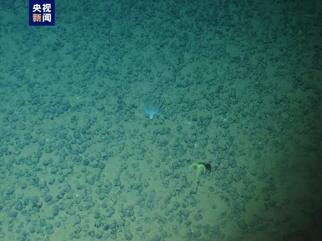 “奋斗者”号再探底 人类首次抵达蒂阿蔓蒂那海沟最深点